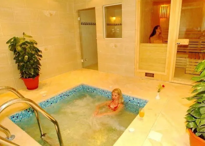 Swiss Wellness 2*